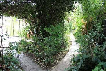 تختخواب و صبحانه Hostal Vida 2000