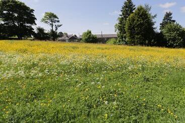 Buttercup Cottage