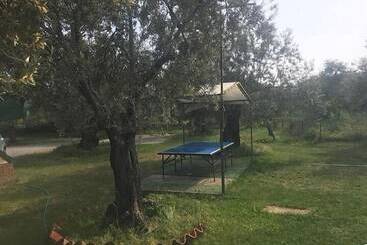 هتل Carpe Diem Bungalow