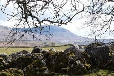 茅舍 Magistrates Chambers