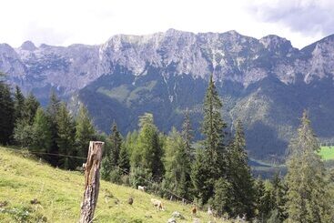 پانسیون Ferienwohnungen Gästehaus Lärcheck
