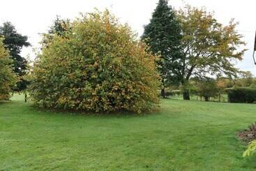 Todlaw Farm House