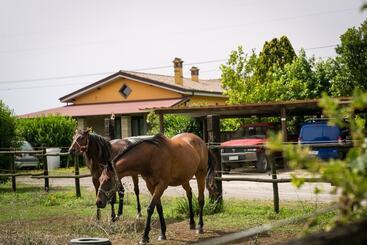 Agriturismo L.b.stud