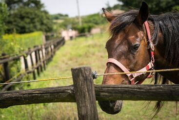 Agriturismo L.b.stud