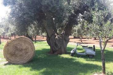 هتل Masseria San Martino