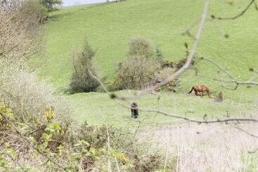 16 Badgers Retreat