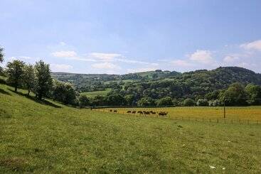 Pen Y Maes