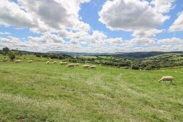 Woodland View