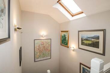 Rothay 17