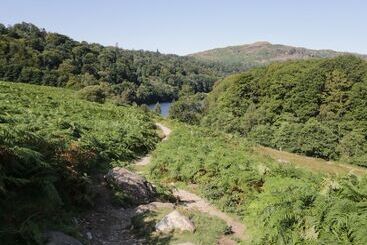 Rothay 17