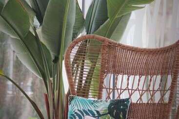 Apartaments Posidonia