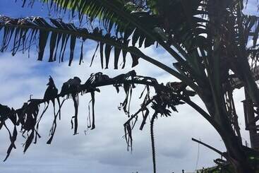 Cabañas Anavai Rapa Nui