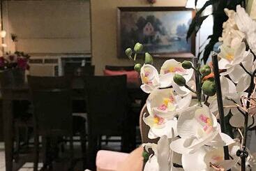 مُتل Cactus Inn And Suites