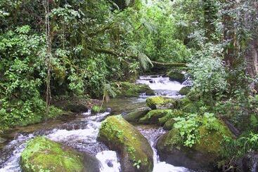 Quetzal Valley Cabins