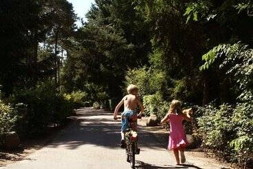 اقامتگاه Europarcs Beekbergen