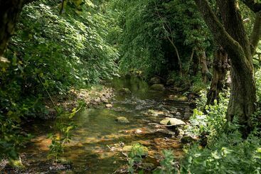 Alwent Mill