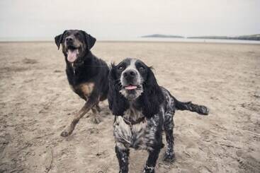 コテージ Lloft Gwair   Hayloft