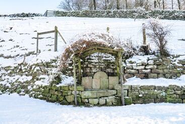 The Arches