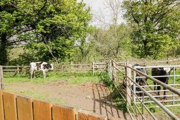 The Old Grainstore