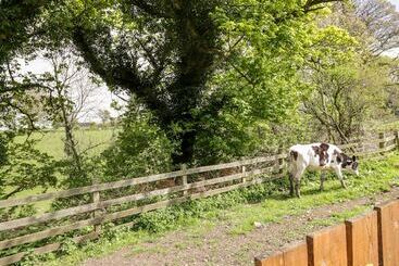 The Old Grainstore