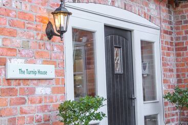 The Turnip House