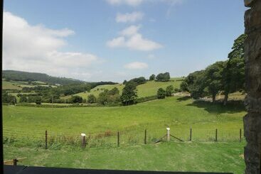 Tyn Y Celyn Isaf