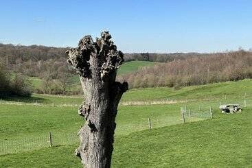 استراحتگاه Bungalowpark Landsrade
