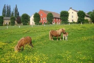 استراحتگاه Bungalowpark Landsrade
