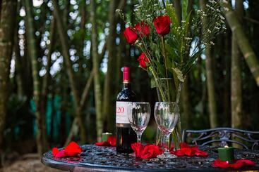 Andaluna Hotel Campestre
