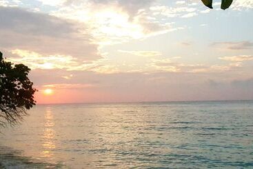 تختخواب و صبحانه Local Travel Beach
