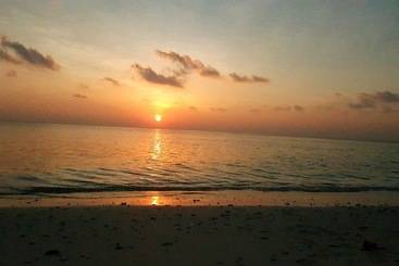 تختخواب و صبحانه Local Travel Beach