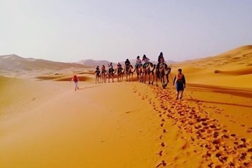تختخواب و صبحانه Panorama