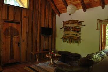 Casa Alto Palguin Pucón