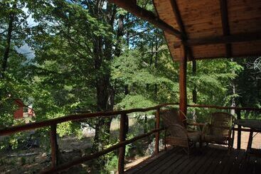 Casa Alto Palguin Pucón