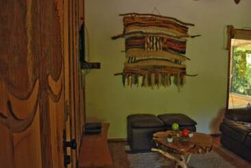 Casa Alto Palguin Pucón