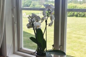 Gårdsdröm B&b