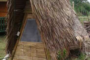 Treasure Isle Guesthouse   Hostel