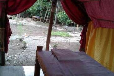 Treasure Isle Guesthouse   Hostel
