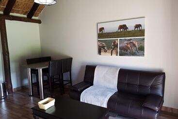 پانسیون Addo Wildlife