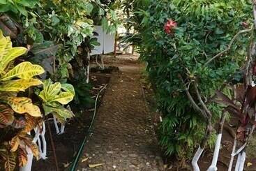 Posada Come So In The Bush