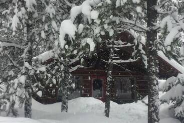The Reclusive Moose Cabins