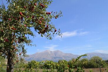 تختخواب و صبحانه Villa Palentina Country House