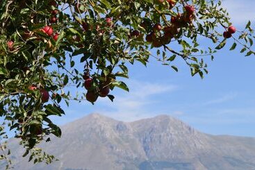 تختخواب و صبحانه Villa Palentina Country House