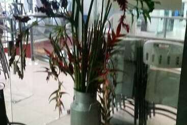 Eco Hostel