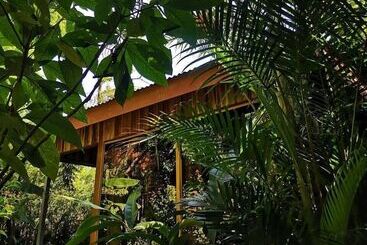 هتل Monteverde Villa Lodge