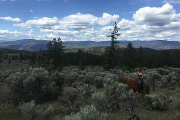 هتل روستایی Yd Guest Ranch