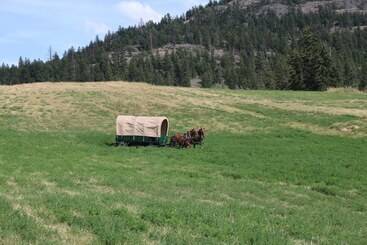 هتل روستایی Yd Guest Ranch