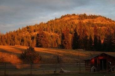 هتل روستایی Yd Guest Ranch