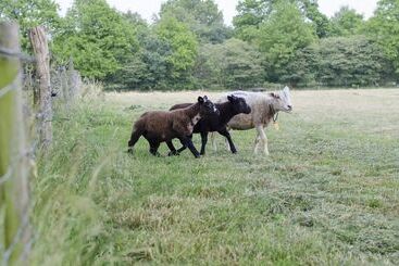 Landhotel Diever