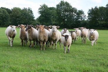 Landhotel Diever